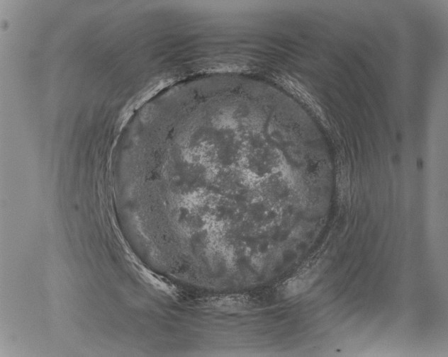 X0000062170721200512091429