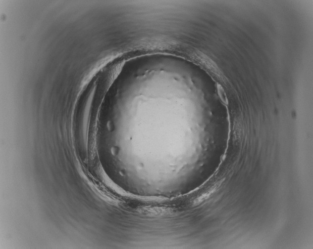 X0000062170722200512091429