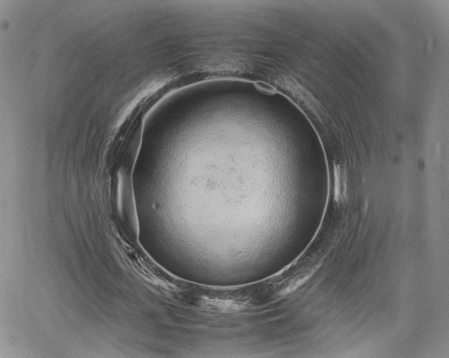 X0000062170723200512091429