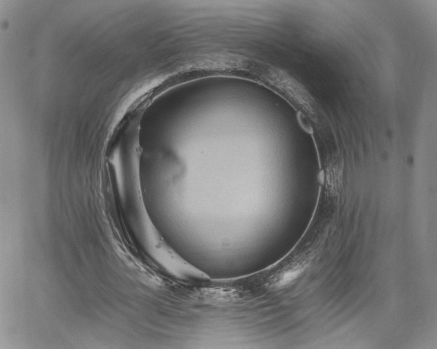 X0000062170724200512091429