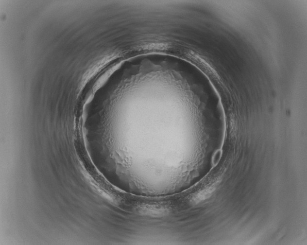 X0000062170725200512091429