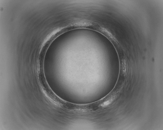 X0000062170726200512091429