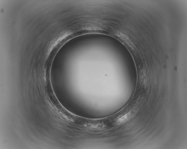 X0000062170727200512091429