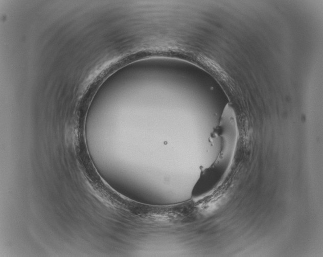 X0000062170728200512091429