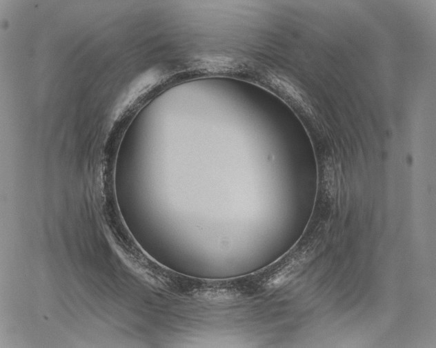 X0000062170730200512091429