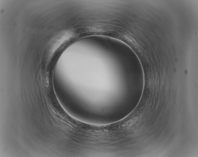 X0000062170731200512091429