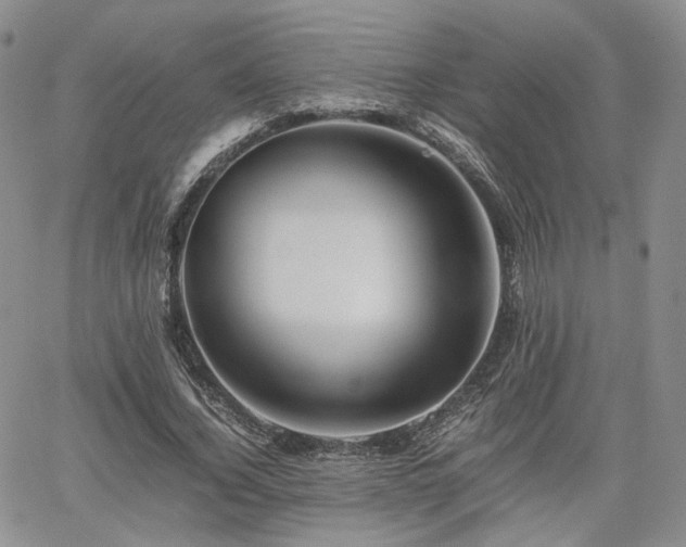 X0000062170732200512091429