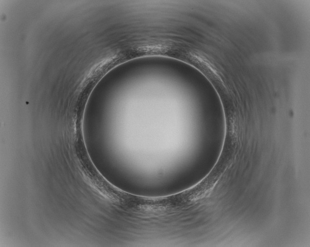 X0000062170733200512091429