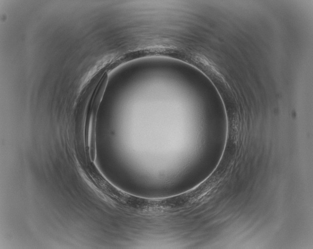 X0000062170734200512091429