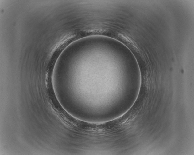 X0000062170735200512091429