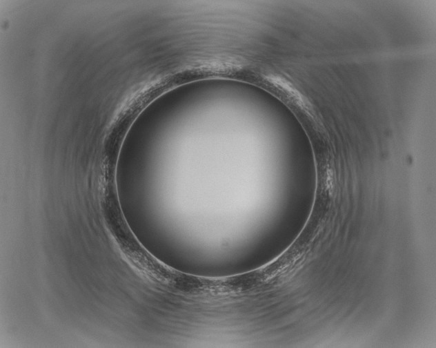 X0000062170736200512091429