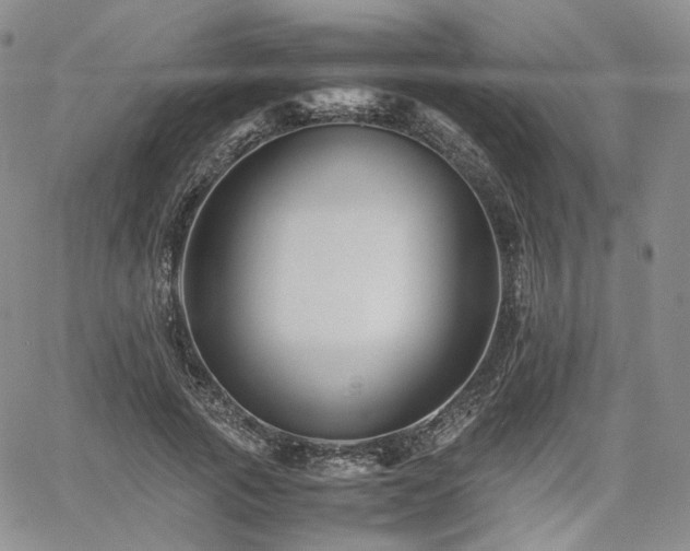 X0000062170737200512091429