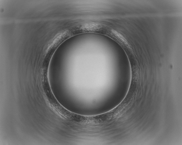 X0000062170738200512091429