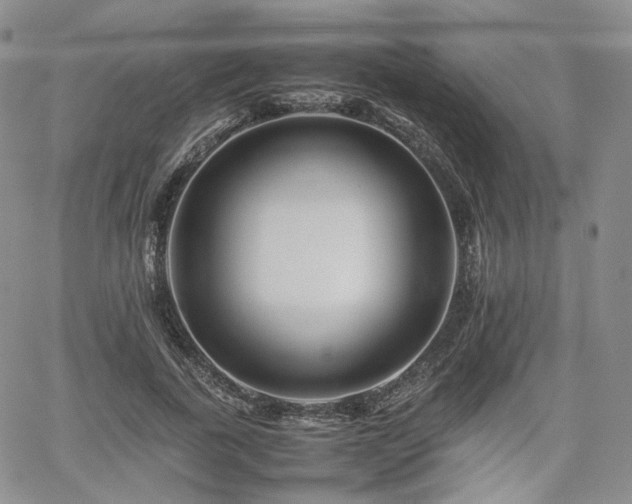 X0000062170739200512091429