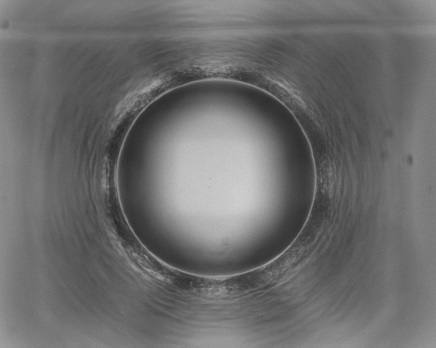 X0000062170740200512091429