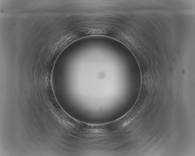 X0000062170741200512091429