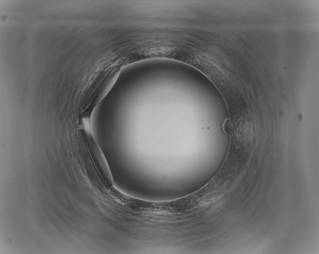 X0000062170743200512091429