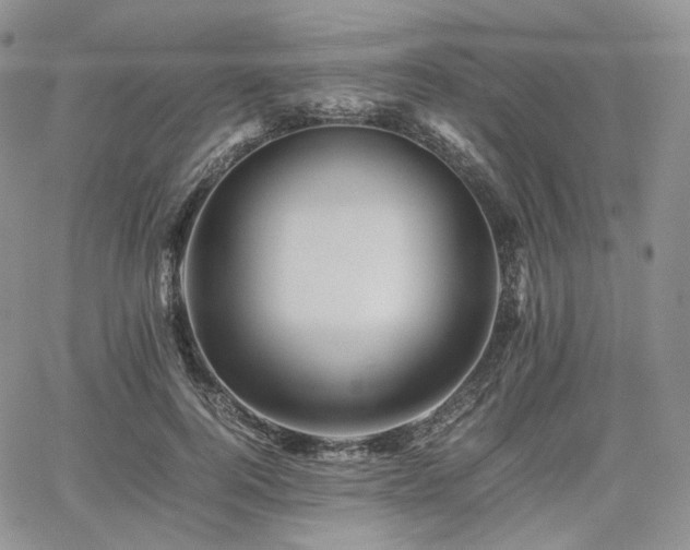 X0000062170744200512091429