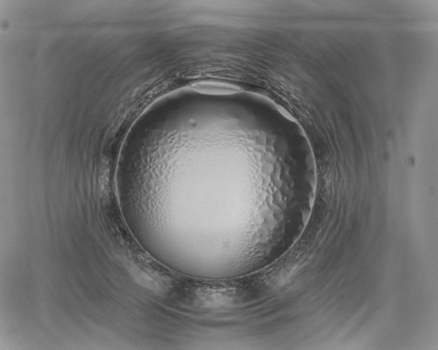 X0000062170745200512091430