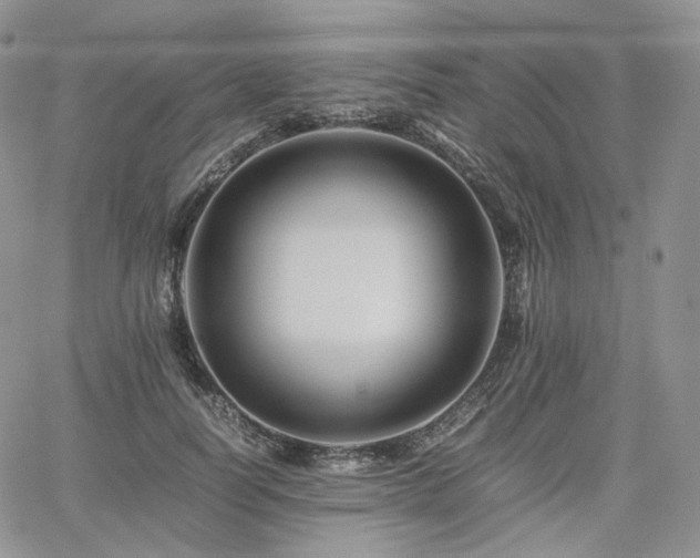 X0000062170746200512091430