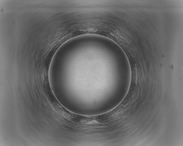 X0000062170747200512091430