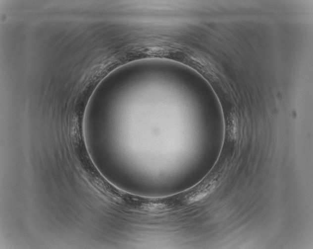 X0000062170748200512091430