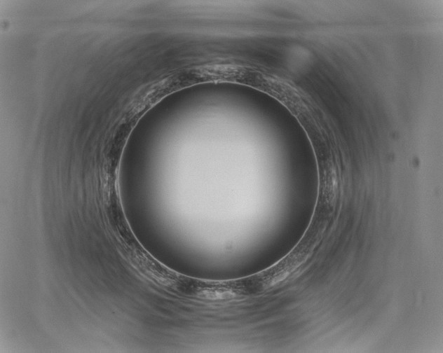 X0000062170749200512091430