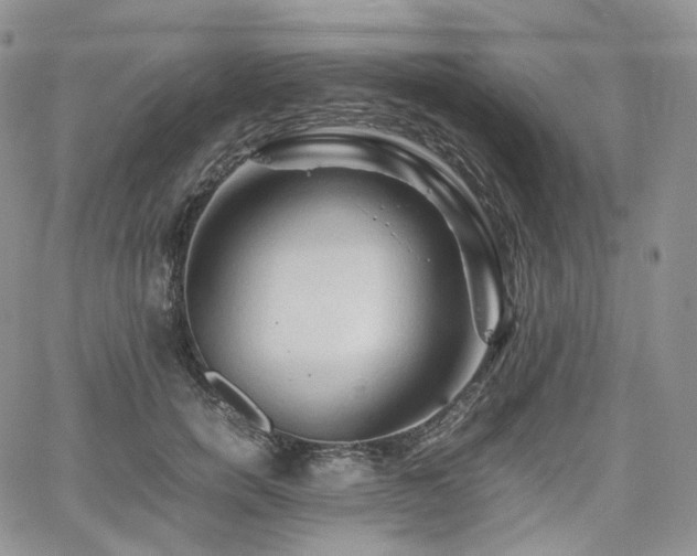 X0000062170750200512091430