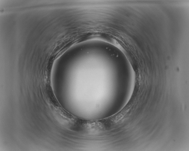 X0000062170752200512091430