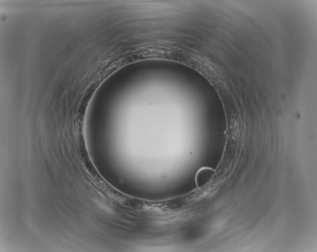 X0000062170753200512091430