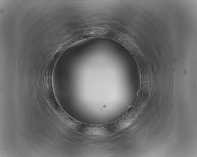 X0000062170755200512091430