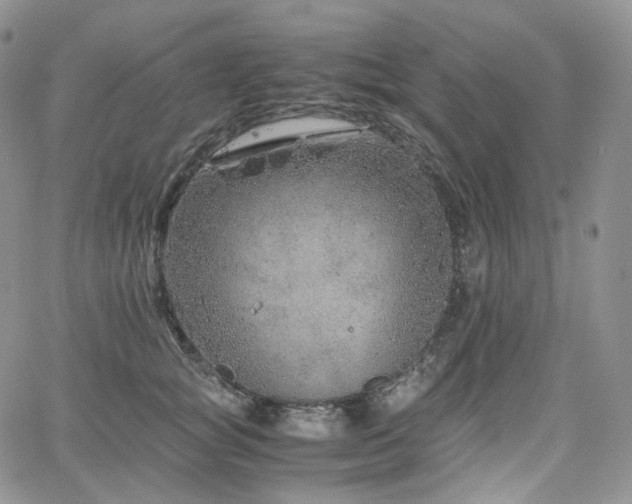 X0000062170757200512091430