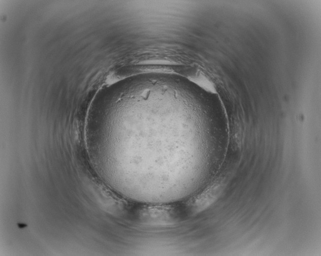 X0000062170758200512091430