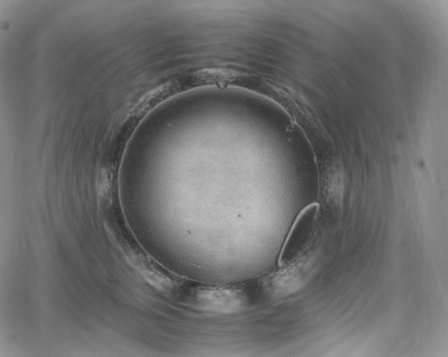 X0000062170759200512091430