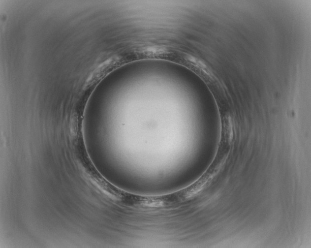 X0000062170760200512091430