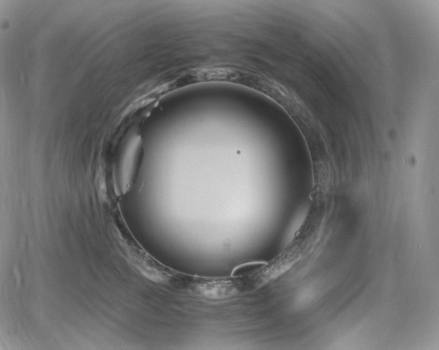 X0000062170761200512091430