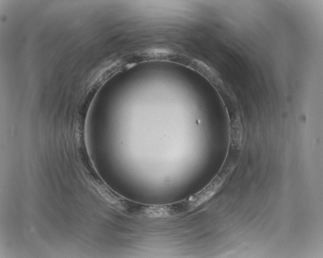 X0000062170762200512091430