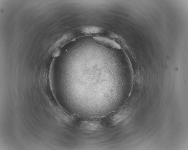 X0000062170763200512091430