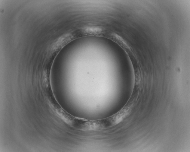 X0000062170764200512091430