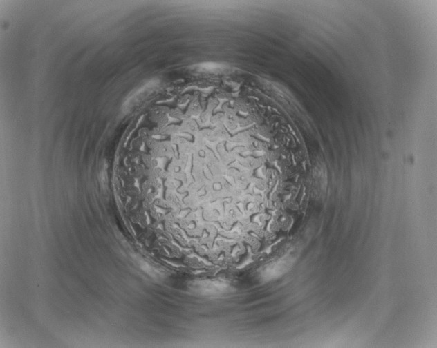 X0000062170765200512091430