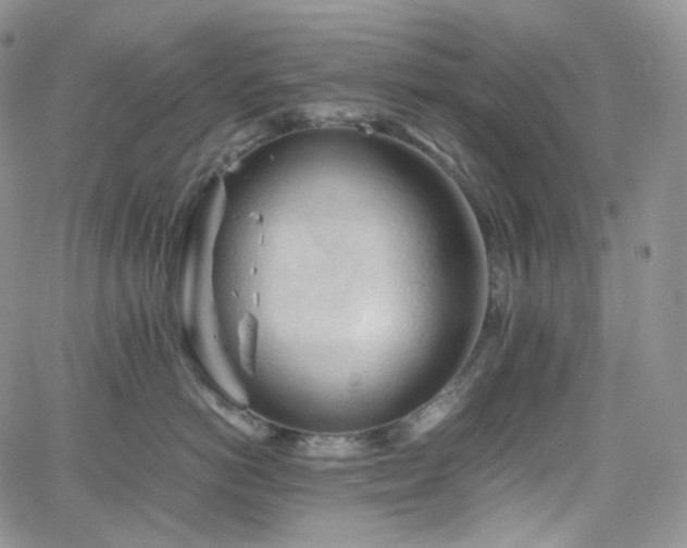 X0000062170766200512091430