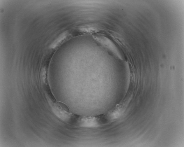 X0000062170767200512091430