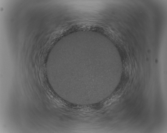 X0000062170769200512091429