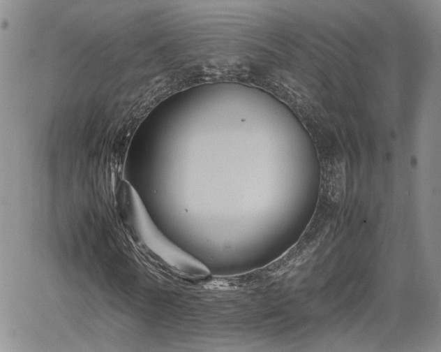 X0000062170770200512091429