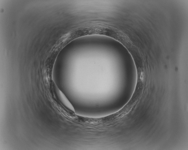 X0000062170771200512091429