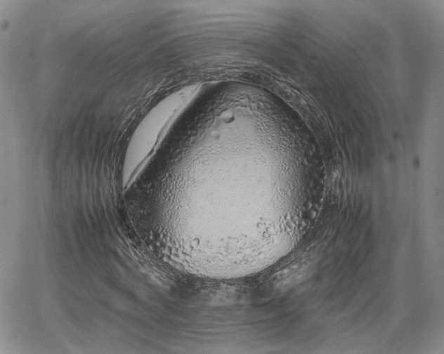 X0000062170772200512091429