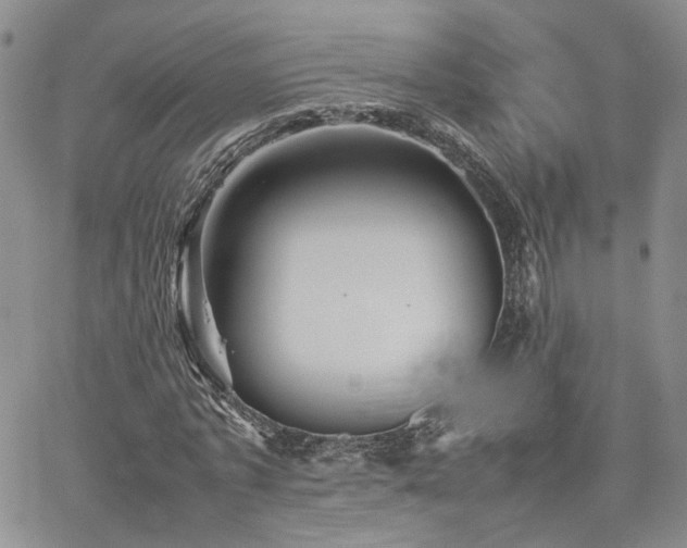 X0000062170773200512091429