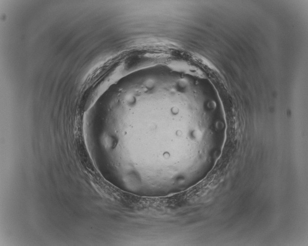 X0000062170775200512091429