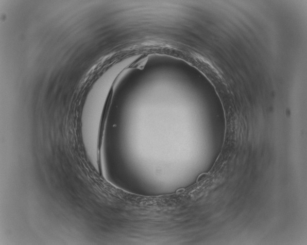 X0000062170776200512091429