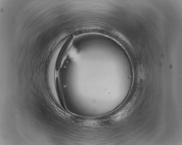 X0000062170777200512091429